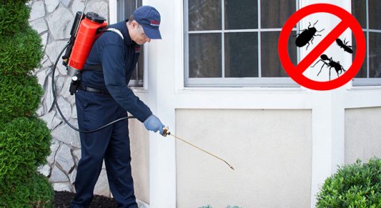 Banaz Karınca İlaçlama böcek ilaçlama ve haşere kontrolü — ilaclama-tr.com